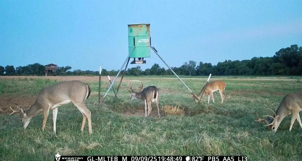 Picture 34