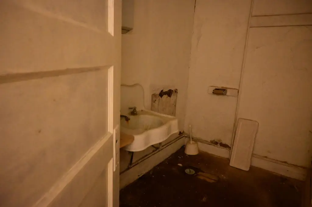 Picture 16