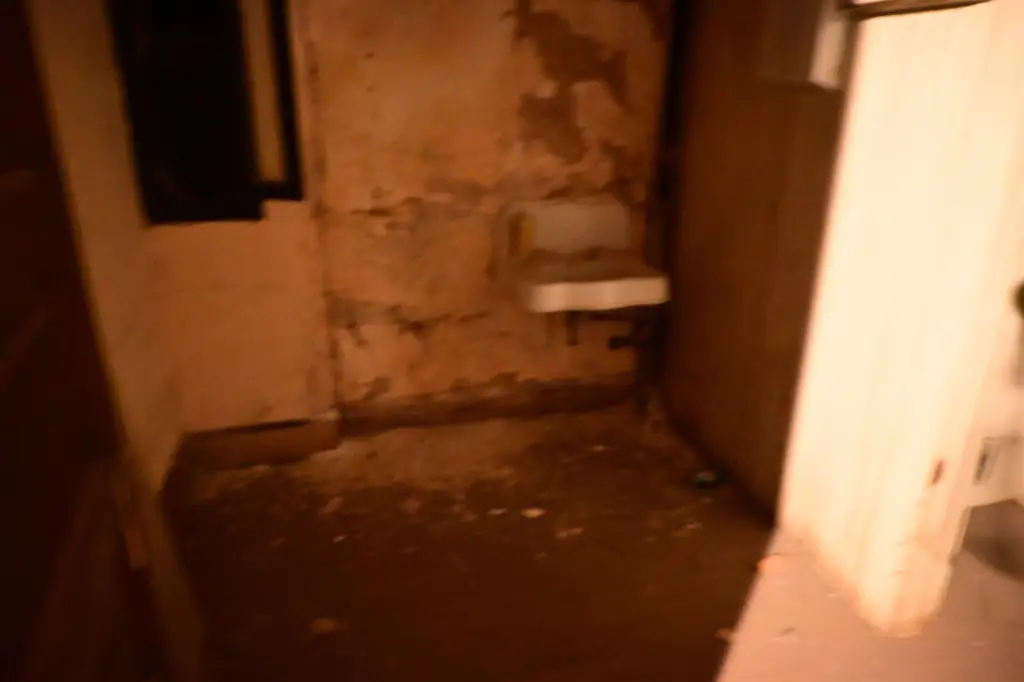Picture 32