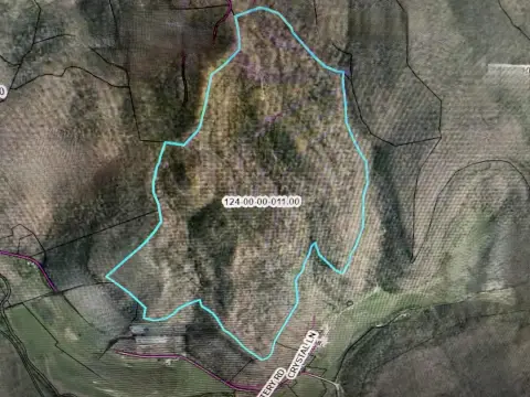 Secluded Wooded Land For Sale