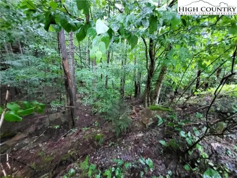 Beech Mountain Land For Sale