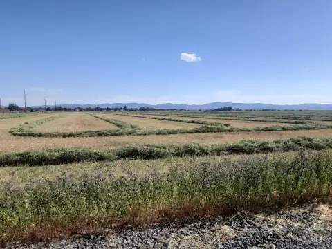 Mountain-View Residential Buildable Lot