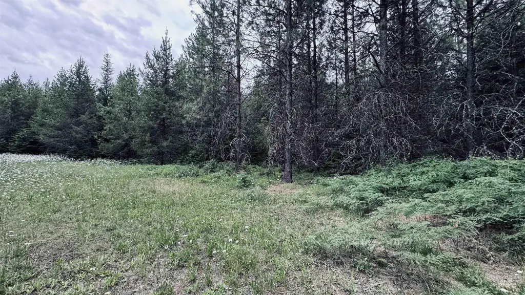 Picture 4