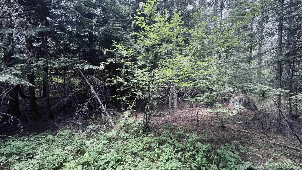 Picture 20
