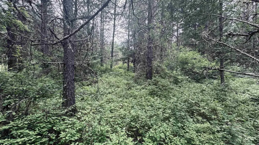 Picture 28