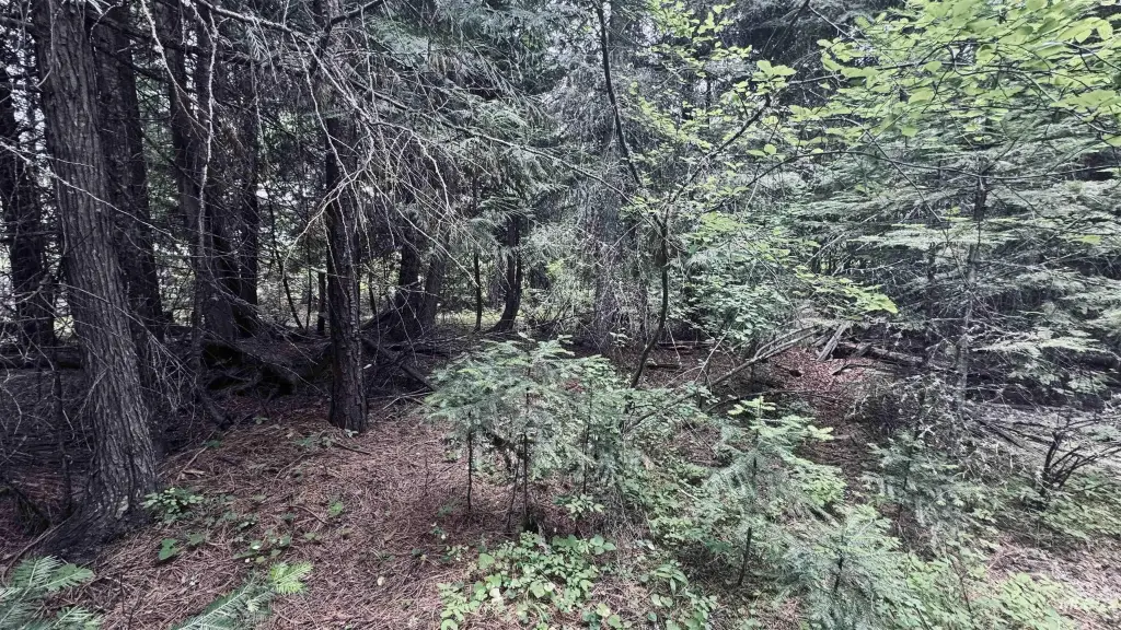 Picture 18
