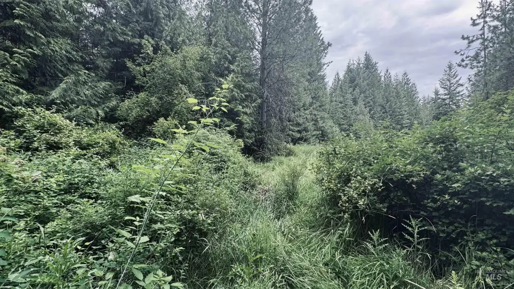Picture 21