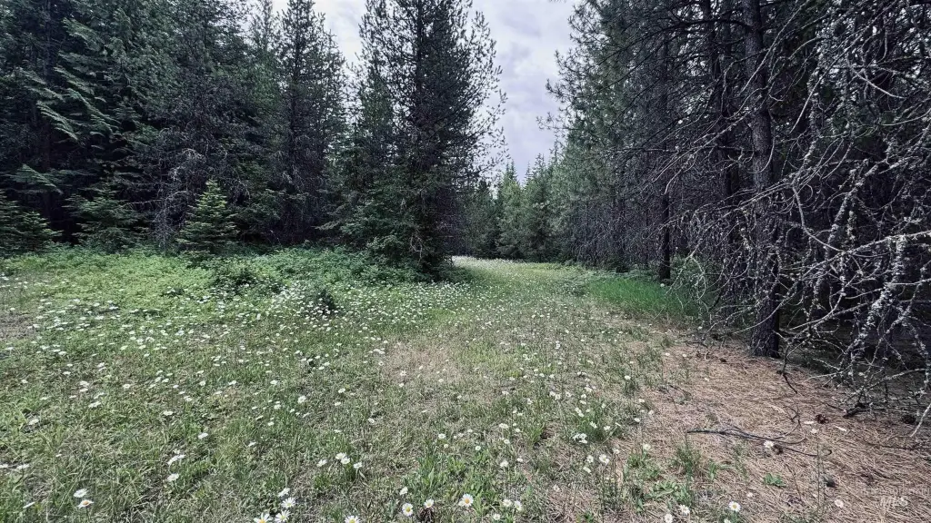 Picture 2