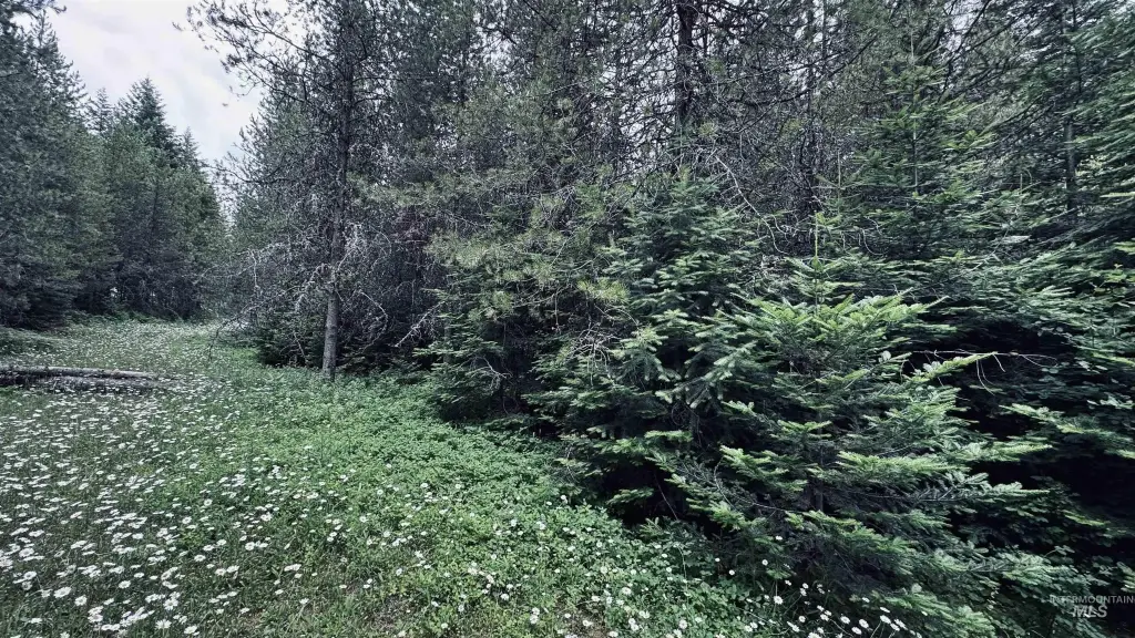 Picture 7