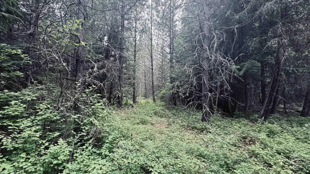 Picture 27