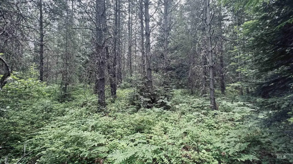Picture 26