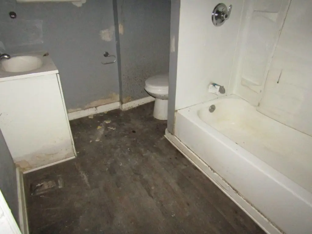 Picture 5