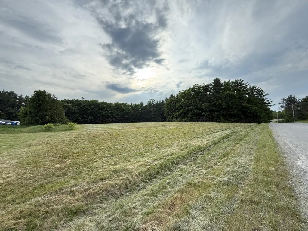 Picture 2
