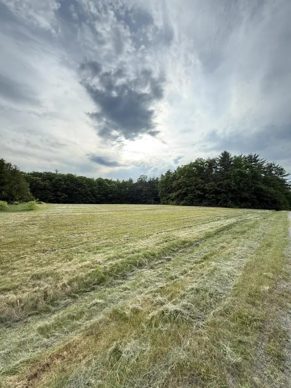 Picture 7