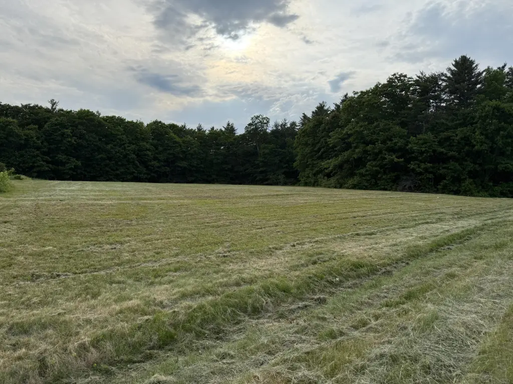 Picture 6