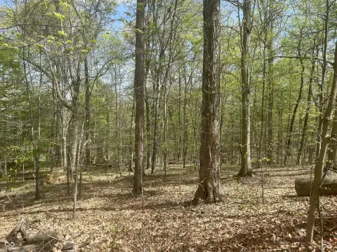 Residential Lot in Foxcliff Estates