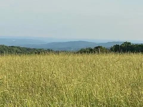 88 Acres in Sullivan County