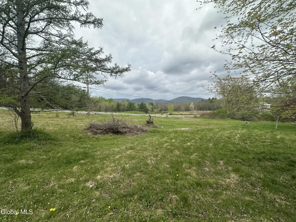 Picture 3