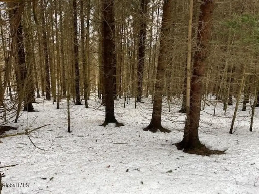Picture 2