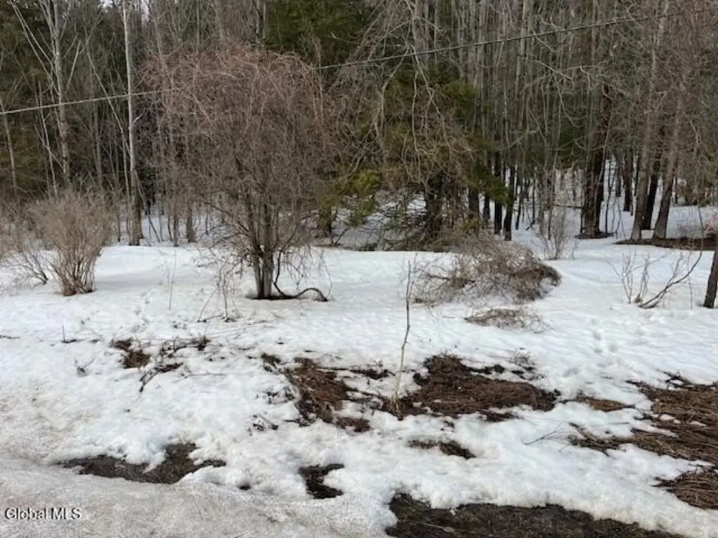 Picture 3