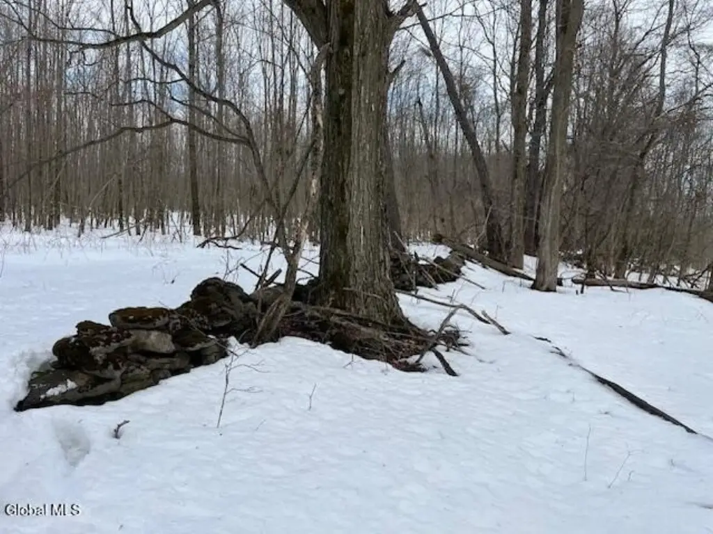 Picture 23