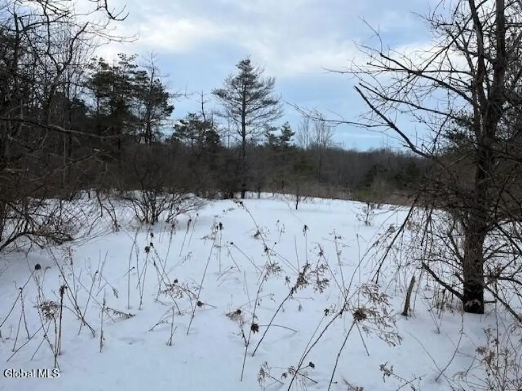 Picture 6