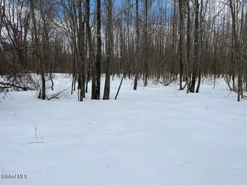 Picture 20