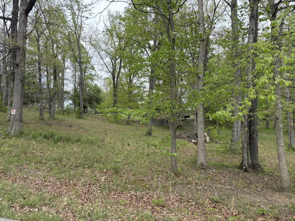 Picture 14