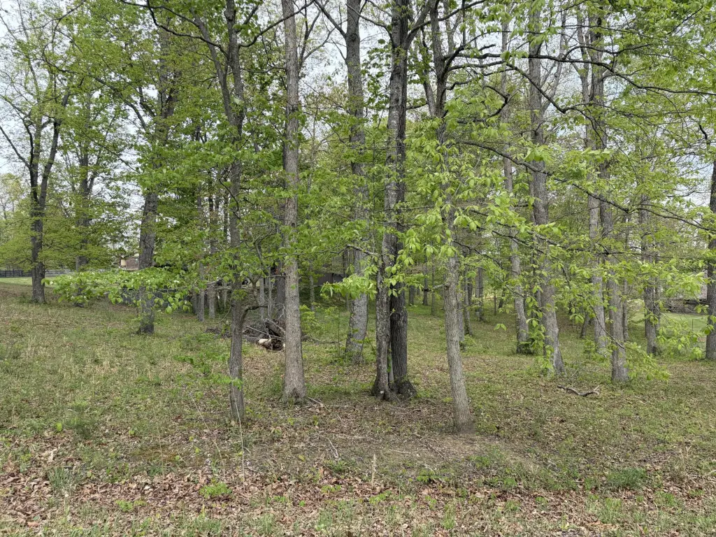 Picture 13