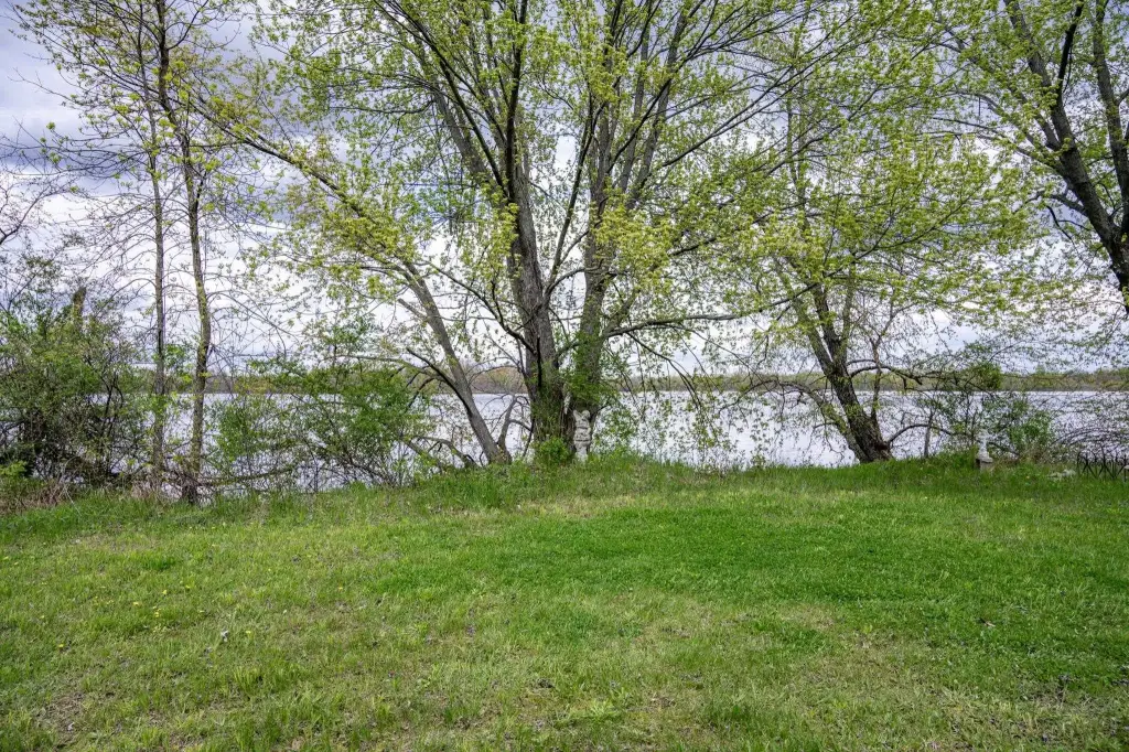 Picture 14
