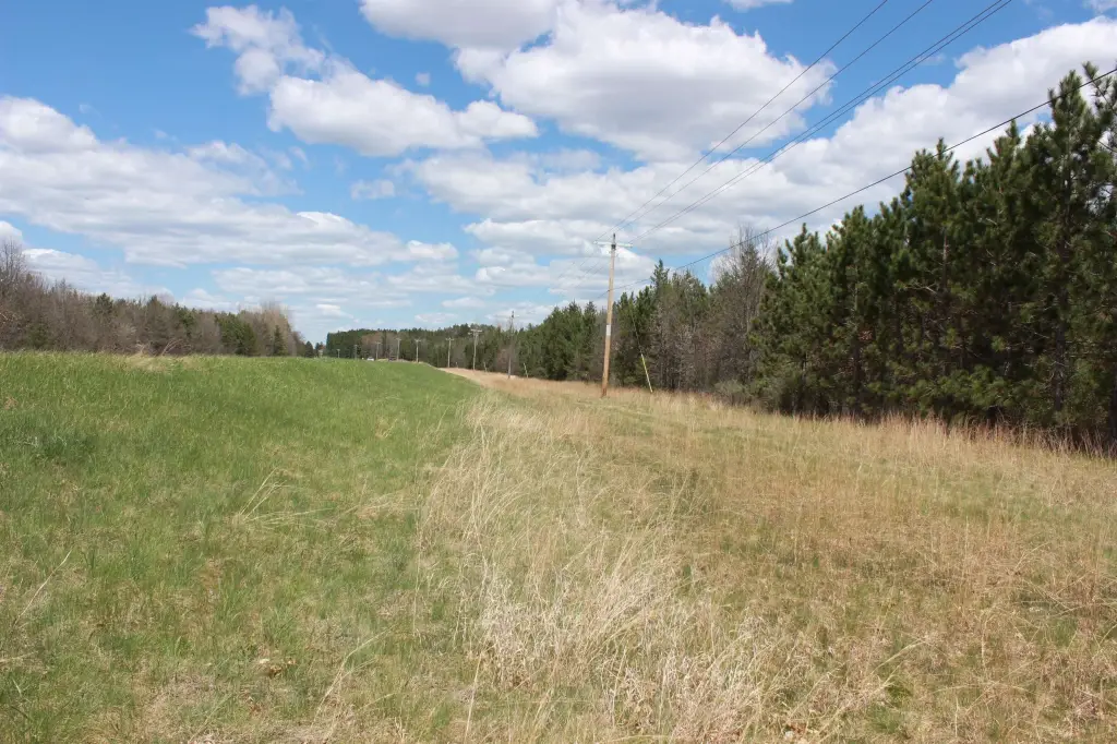Picture 8