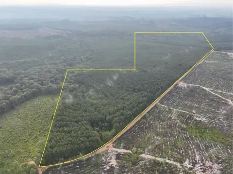 103 Acres on Red Rock Road