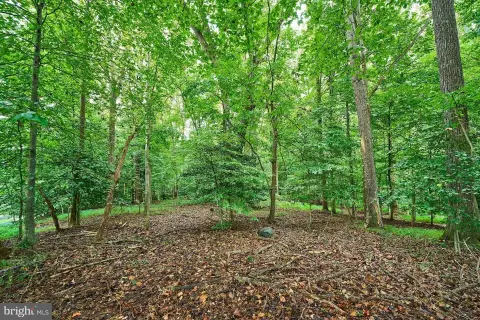 Serene Great Falls Land Opportunity