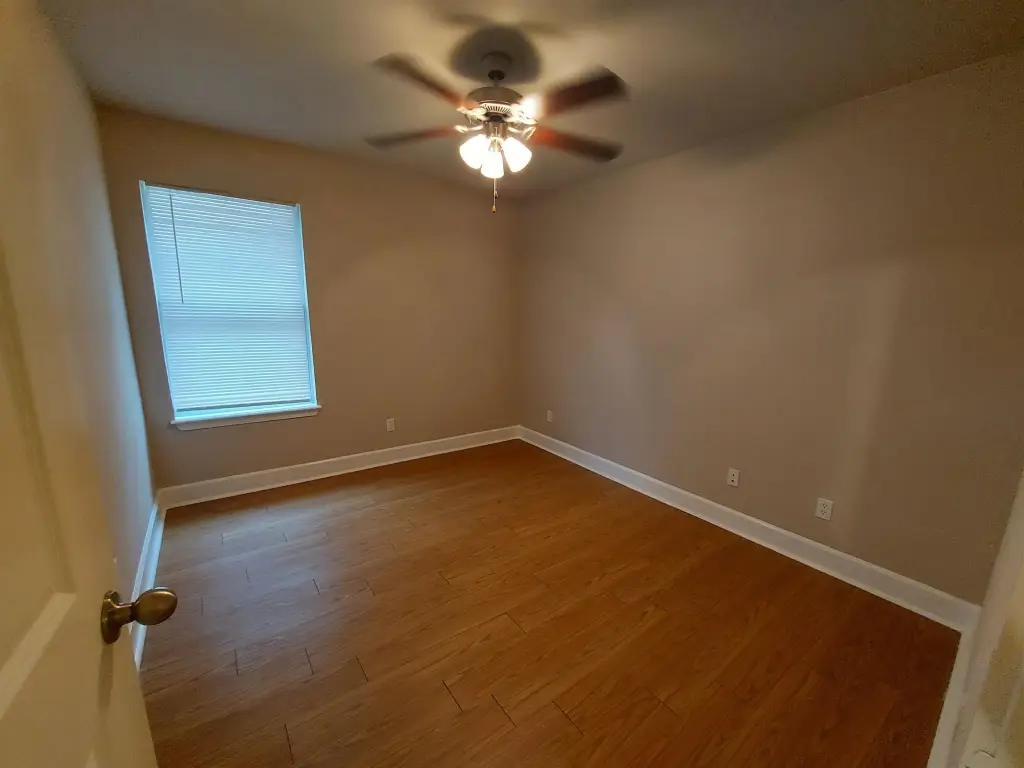Picture 4