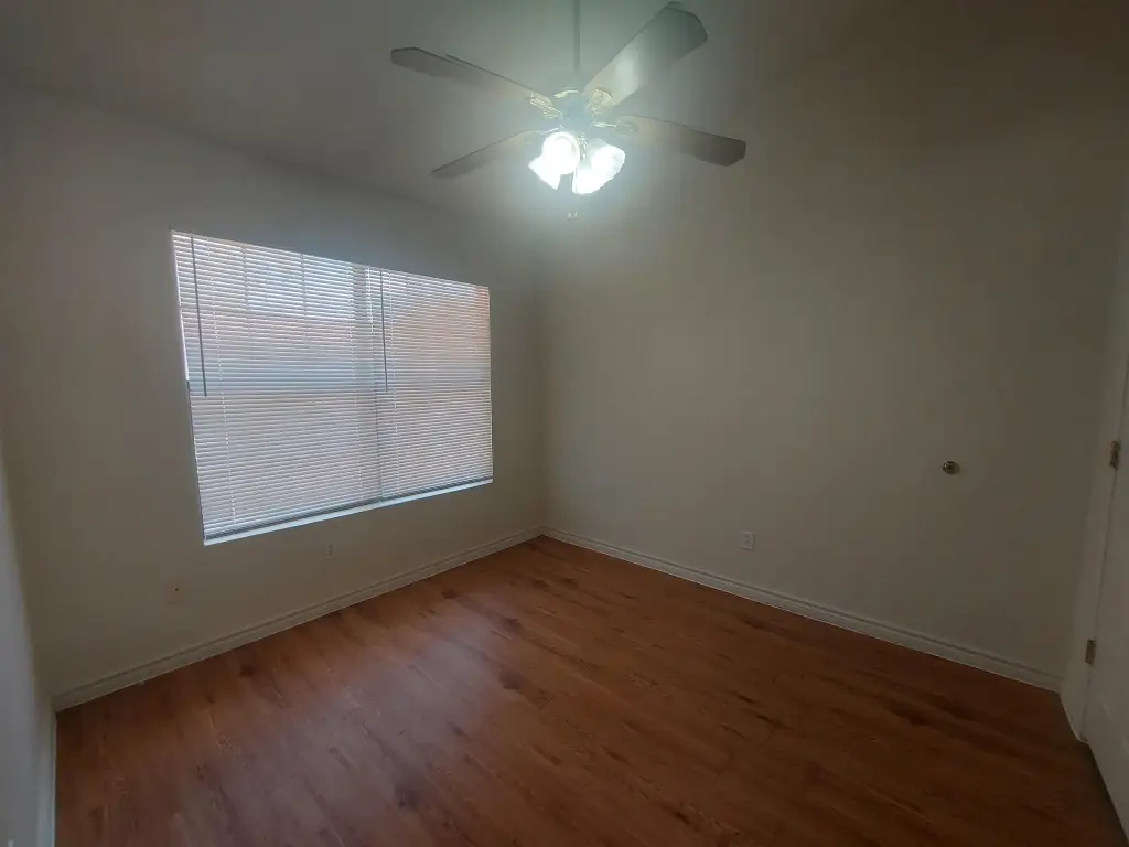Picture 9