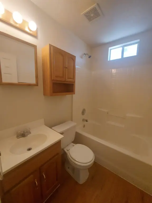 Picture 11