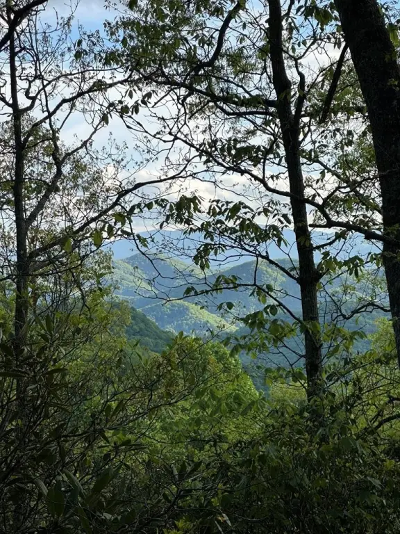 Picture 23