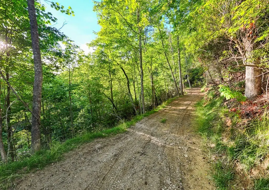 Picture 8