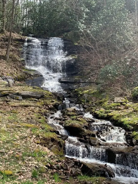 Picture 3