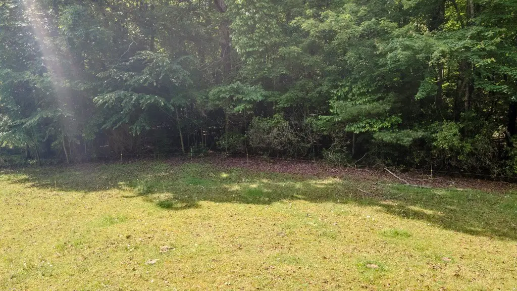 Picture 18