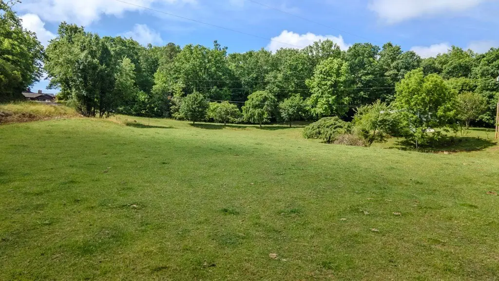 Picture 29