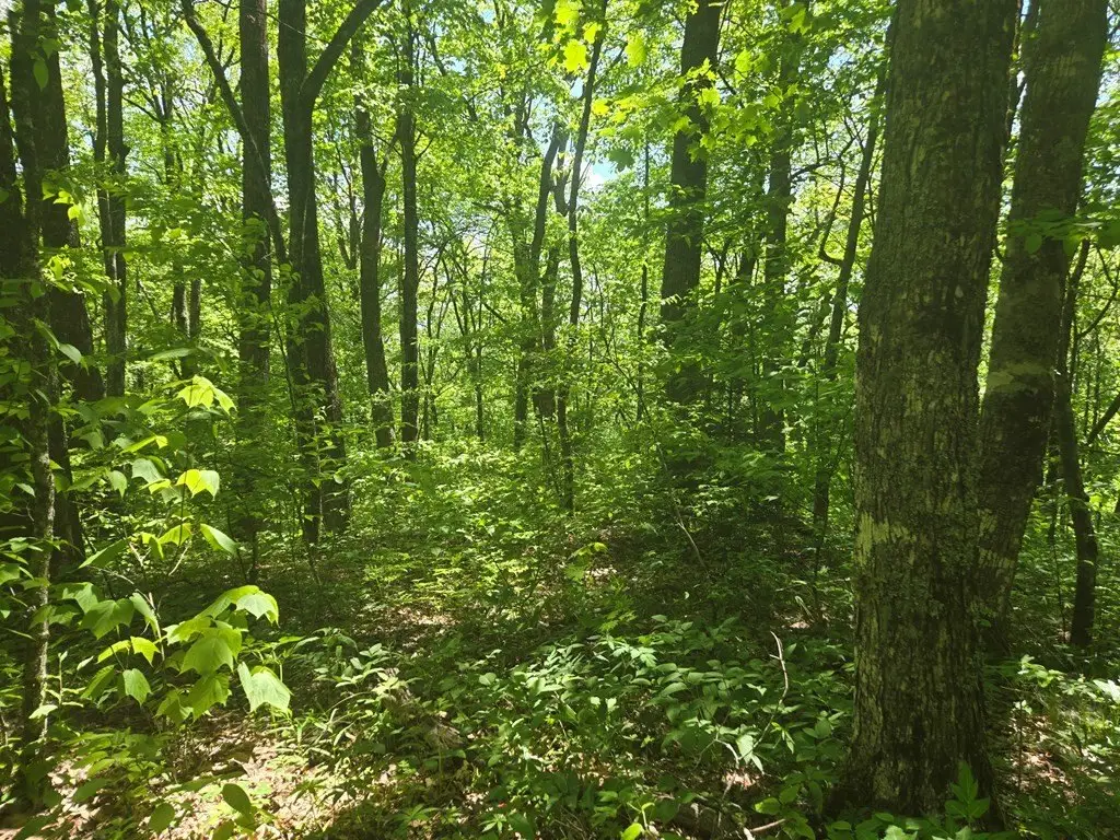 Picture 13