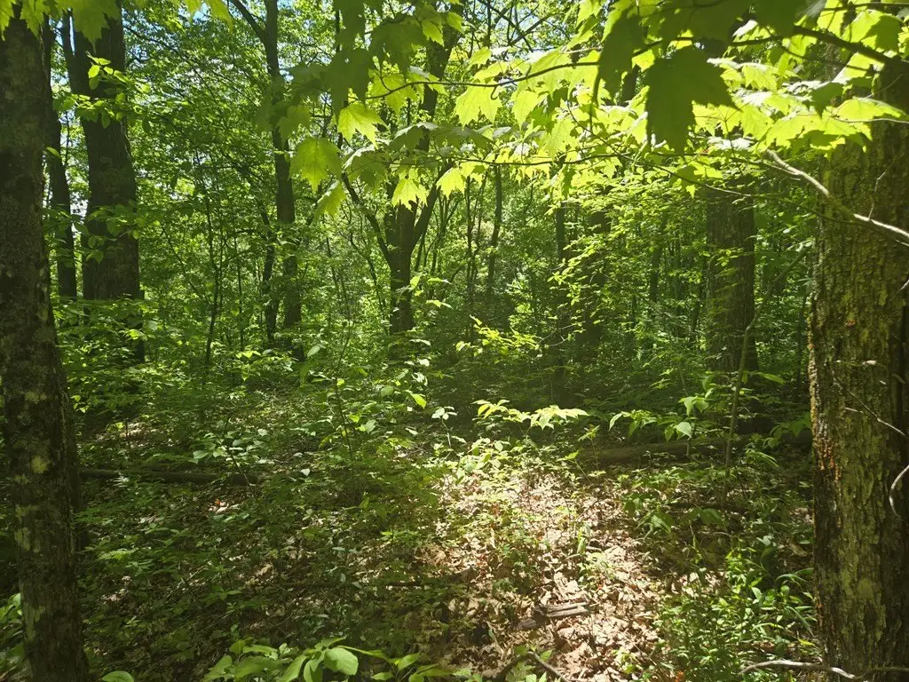 Picture 8