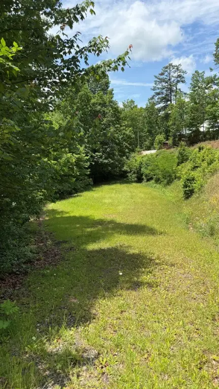 Picture 3