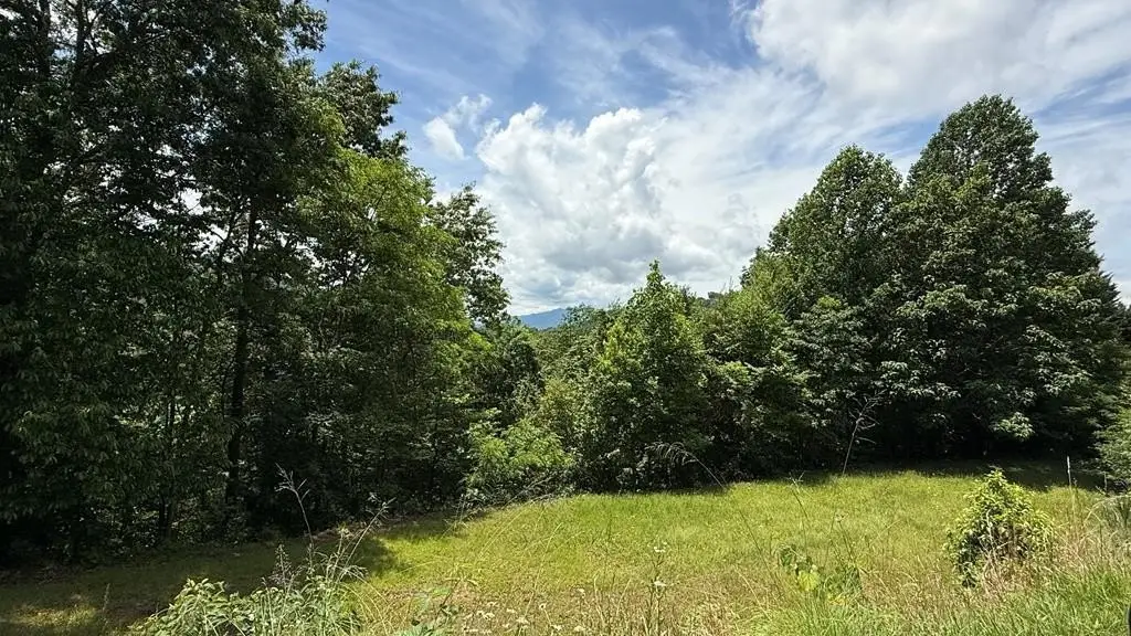 Picture 2