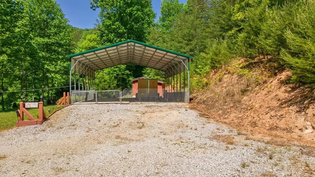 Picture 20