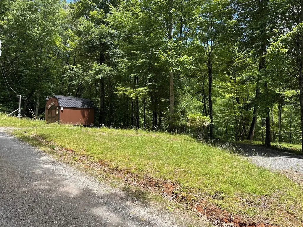 Picture 6