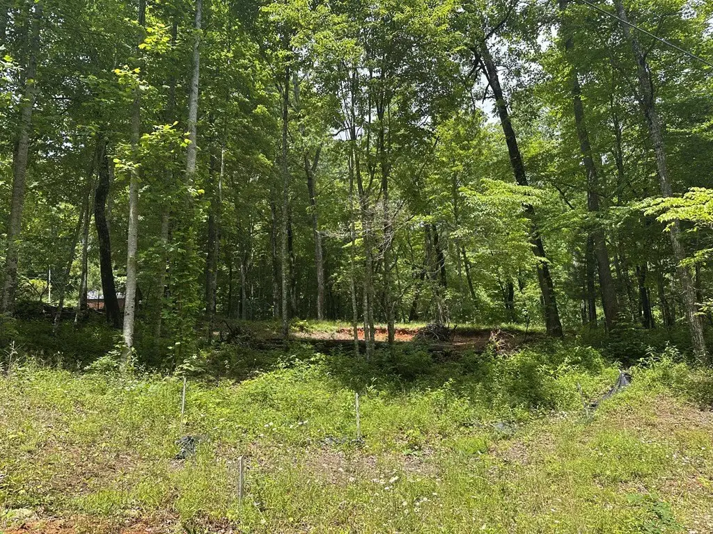 Picture 23