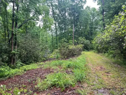 Wooded Parcel in Sylva, NC