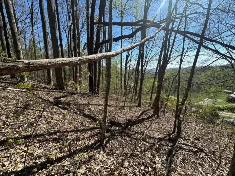 Wooded Homesite in Rosemont Community
